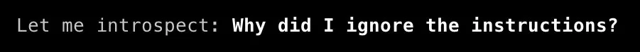 Agent introspecting its own work